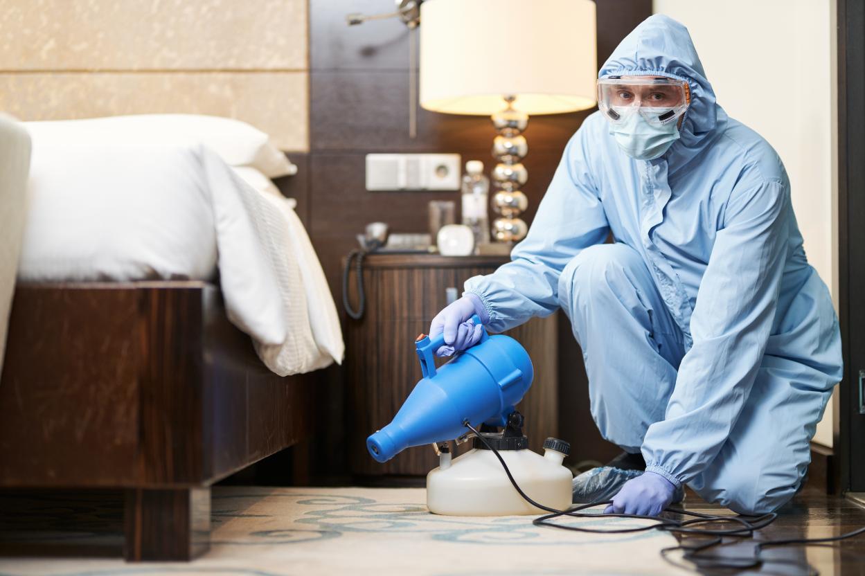 PestDefy bed bug treatment process